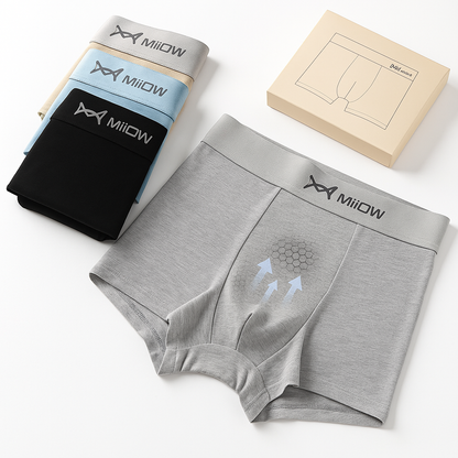 Ice Boxer Pro™ – Thermal Silk Underwear (10-Pack)