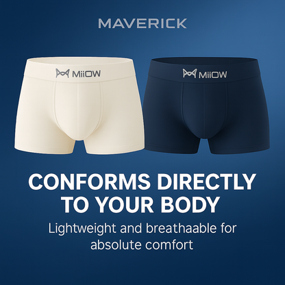 Ice Boxer Pro™ – Thermal Silk Underwear (10-Pack)