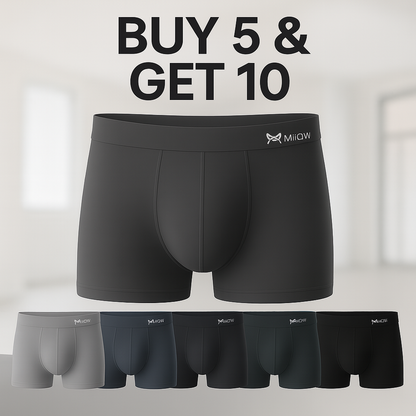 Ice Boxer Pro™ – Thermal Silk Underwear (10-Pack)